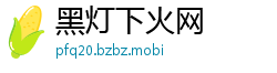 黑灯下火网